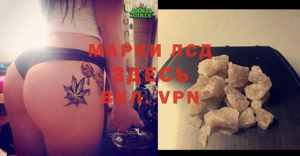 прущие крисы Гусев