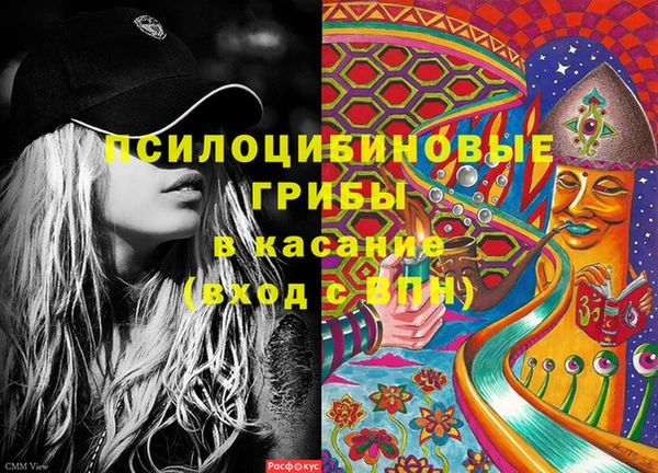 прущие крисы Гусев