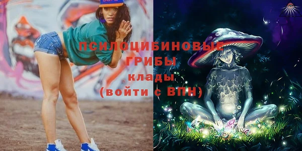 прущие крисы Гусев